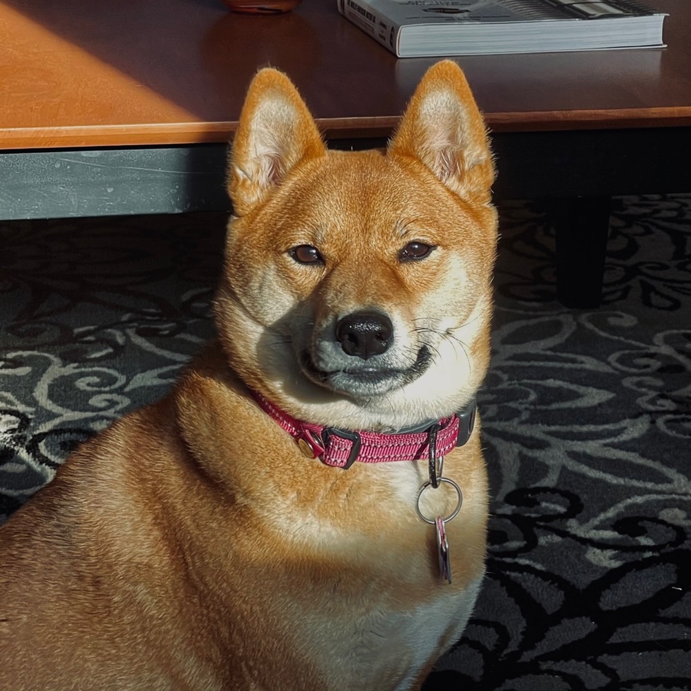 Meet your Posher, Kathy